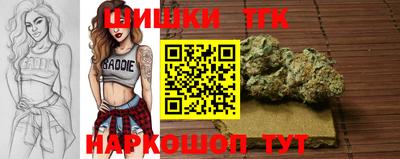 молекула духа Балахна