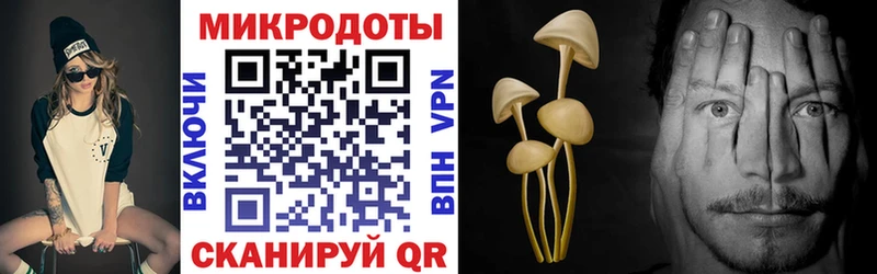 Галлюциногенные грибы ЛСД  МЕГА ССЫЛКА  Нерюнгри 
