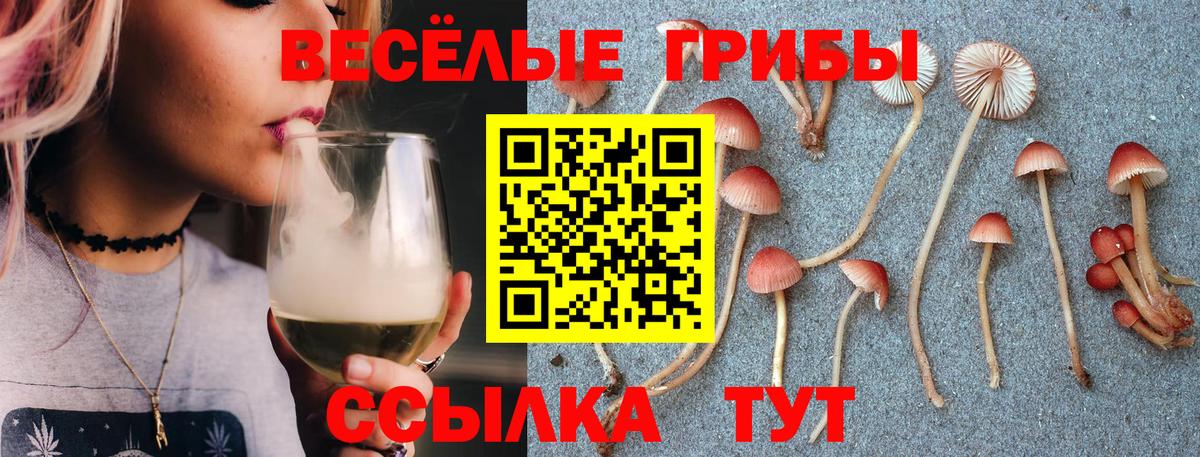 Псилоцибиновые грибы MAGIC MUSHROOMS  Нерюнгри  Псилоцибиновые грибы мухоморы 