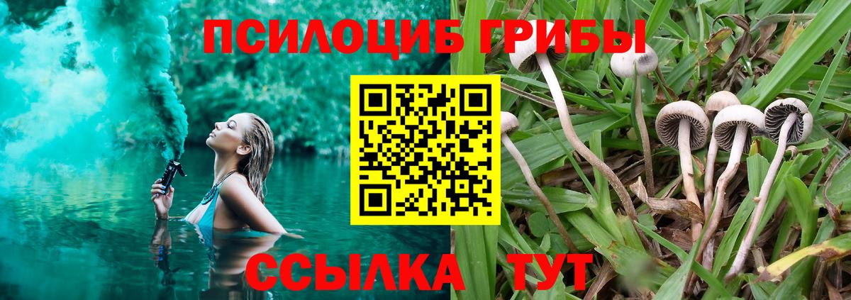 Псилоцибиновые грибы мицелий Нерюнгри