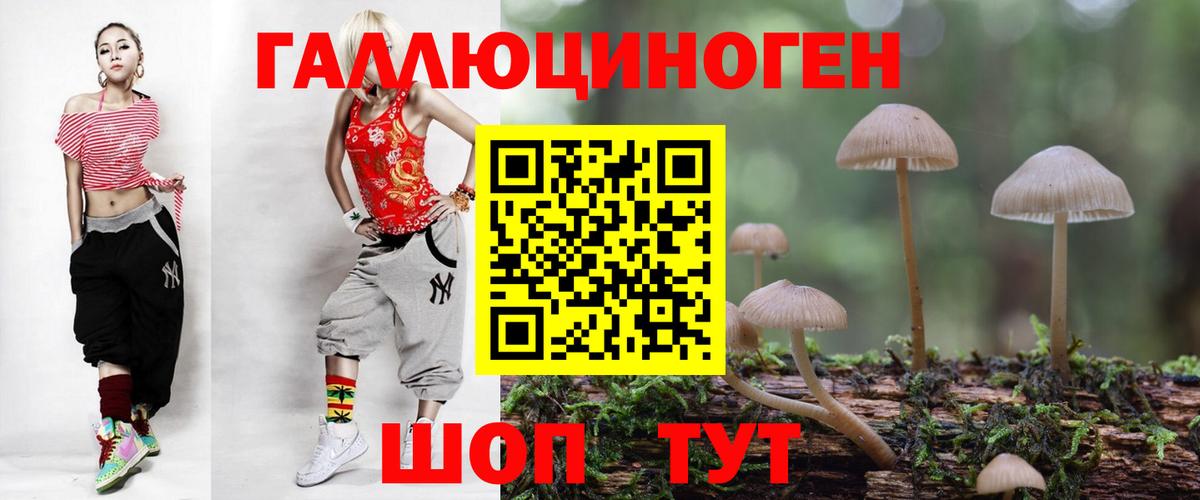 Галлюциногенные грибы Psilocybe  Псилоцибиновые грибы прущие грибы  Вход с VPN  Нерюнгри 